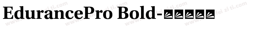 EdurancePro Bold字体转换